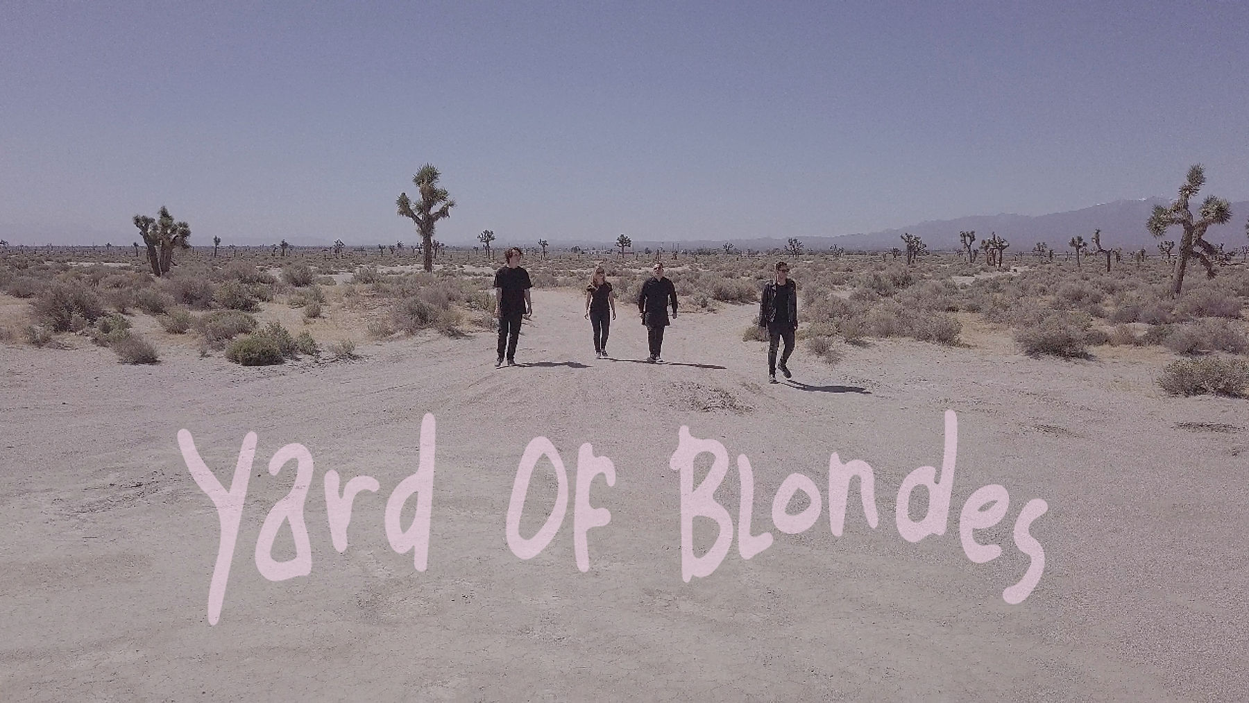 Yard Of Blondes Videos